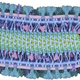 David S Goodsell, RCSB Protein Data Bank